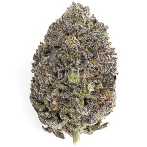 Buy Weed Online Canada Green Society