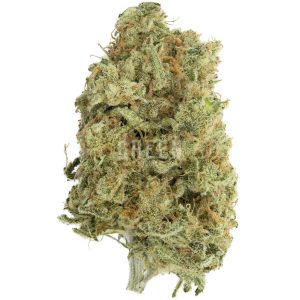 Buy Cinderella 99 Strain Online Green Society