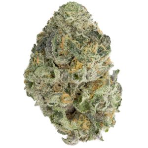 Buy Sherbacio Strain Online Canada Green Society