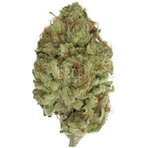 Buy Violator Kush Strain Online Green Society