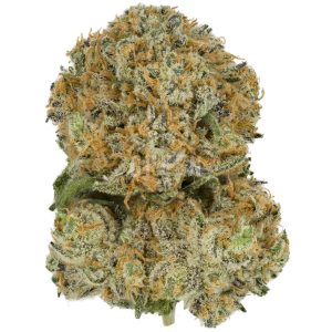 Buy Blue Gelato 41 Online Canada Green Society