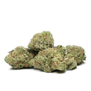 Buy Blueberry Bomb Strain Online Green Society