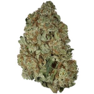 Buy Blueberry Cheesecake Strain Online Green Society