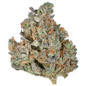 Buy Kush Mints Strain Online Green Society