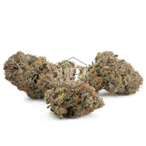 Buy Purple Zkittlez Strain Online Green Society