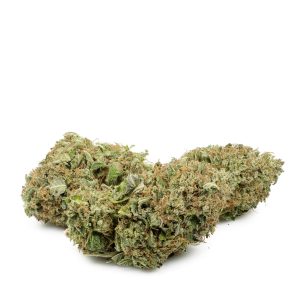 Buy El Jefe Strain Online Green Society