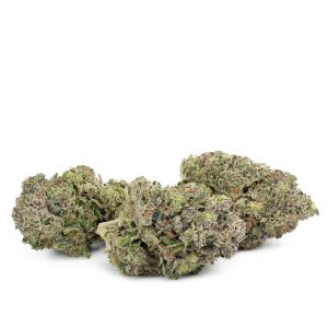 Buy Granddaddy Purple Strain Online Green Society