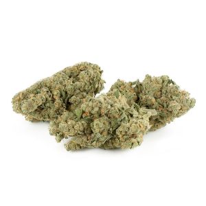 Buy Blue Cheese Strain Online Green Society