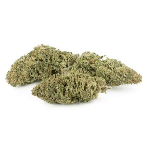 Buy Super Lemon Haze Online Green Society