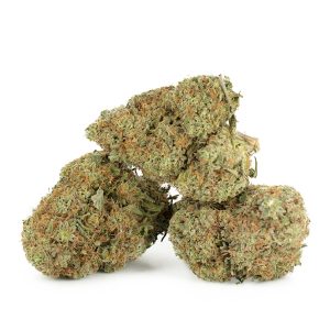 Buy Laughing Buddha Strain Online Green Society