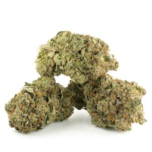 Buy Tuna Kush Strain Online Green Society