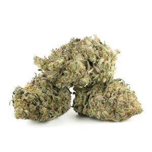 Buy Alaskan Thunder Fuck Strain Online Green Society