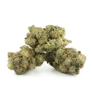 Buy Astro Pink Kush Strain Online Green Society