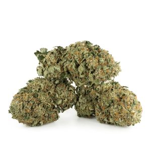 Buy King Louis XIII Strain Online Green Society