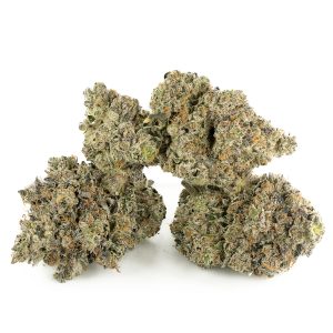 Buy Pink Star Killer Strain Online Green Society