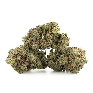 Buy Black Tuna Kush Strain Online Green Society