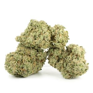 Buy Ghost Train Haze Online Green Society