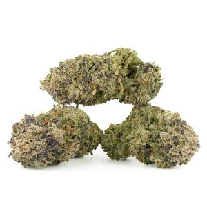 Buy Blueberry Strain Online Canada Green Society