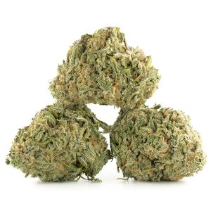 Buy Duke Nukem Strain Online Green Society