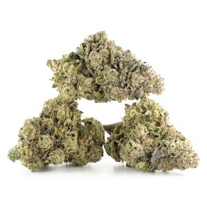 Buy Krazy Glue Strain Online Green Society