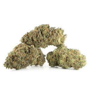 Buy Amnesia Haze Strain Online Green Society