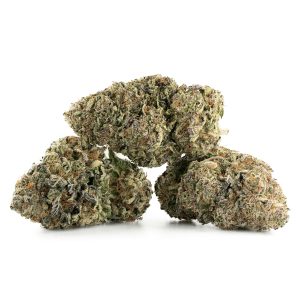 Buy Black Domina Strain Online Canada Green Society