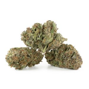 Buy Gelato #33 Strain Online Green Society