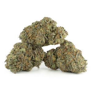 Buy London Pound Cake Strain Online Canada Green Society