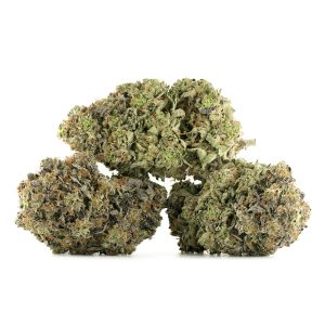 Buy Mike Tyson Cannabis Strain Online Green Society