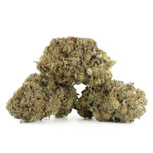 Buy Strawberry Cough Strain Online Green Society