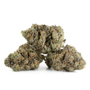 Buy Black Lime Reserve Strain Online Canada Green Society