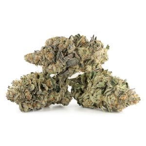 Buy Cactus Breath Strain Online Canada Green Society