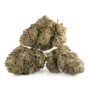 Buy Fuelato Strain Online Canada Green Society