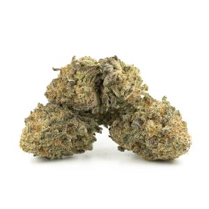 Buy Miracle Alien Cookies #10 Online Canada Green Society