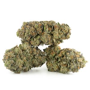 Buy Northern Lights Strain Online Canada Green Society