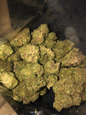 Gorilla Glue #4 photo review