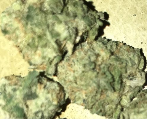 Girl Scout Cookies photo review