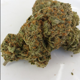 King Louis XIII photo review