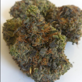 Black Tuna Kush photo review