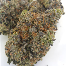 Black Tuna Kush photo review